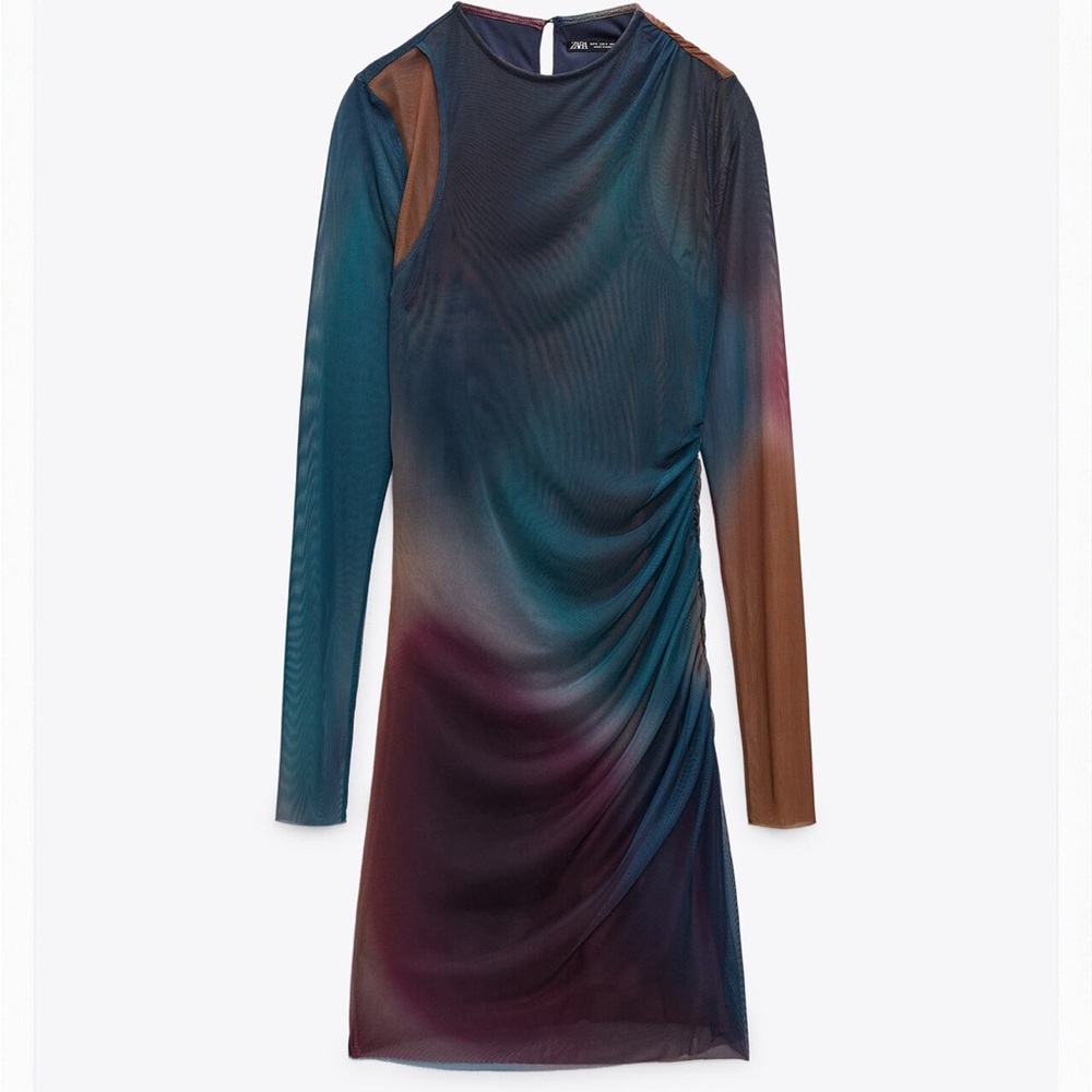 Zara printed tulle dress